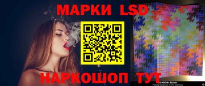 спайс Гай