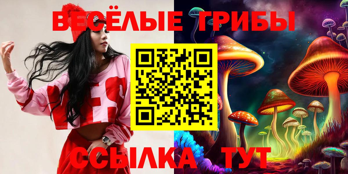 Псилоцибиновые грибы прущие грибы Губкинский