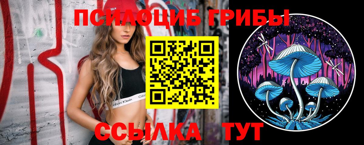 Губкинский  Псилоцибиновые грибы GOLDEN TEACHER  дарнет шоп  Вход с VPN 